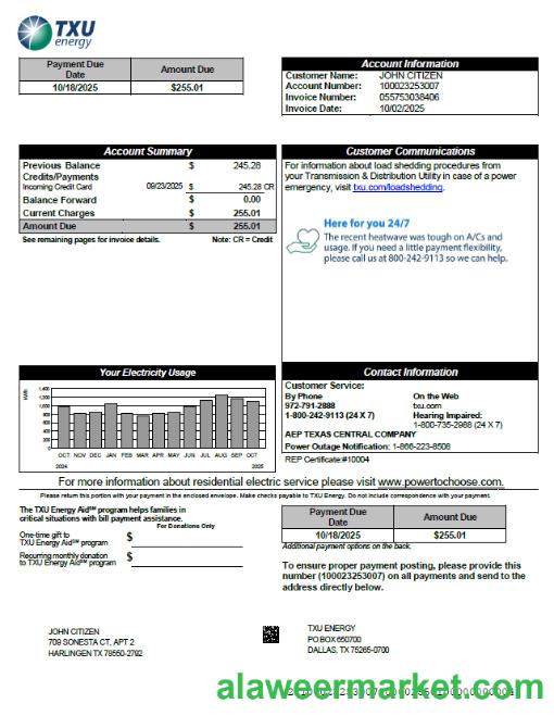 USA TXU Energy utility bill template in Word and PDF formats, version 5